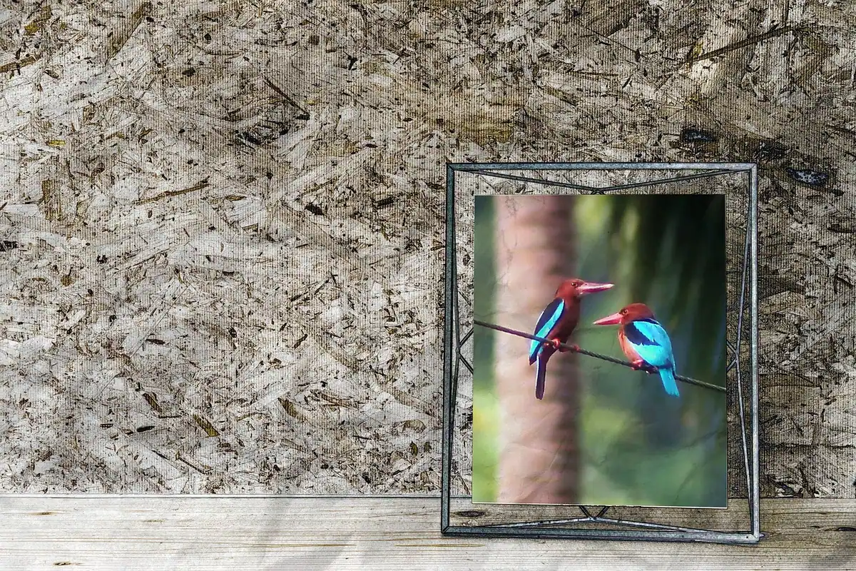 Ramă foto cu o fotografie cu două păsări colorate, sprijinită de un perete rugos