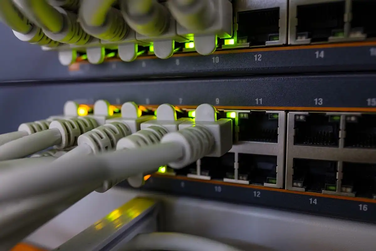 Cablu de rețea cu mufă RJ45 conectat la un router sau switch