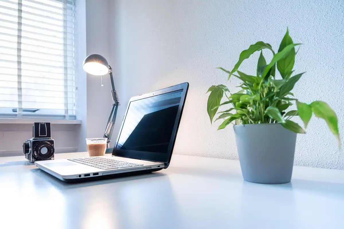 Lampă de birou care luminează un spațiu de lucru de acasă, lângă laptop și o plantă